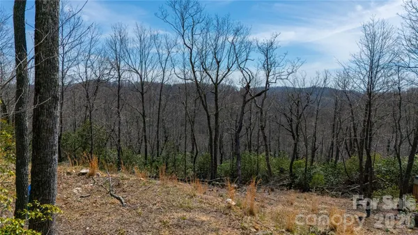 $45,000 | 0 Walker Ridge Road, Spruce Pine, NC 28777
