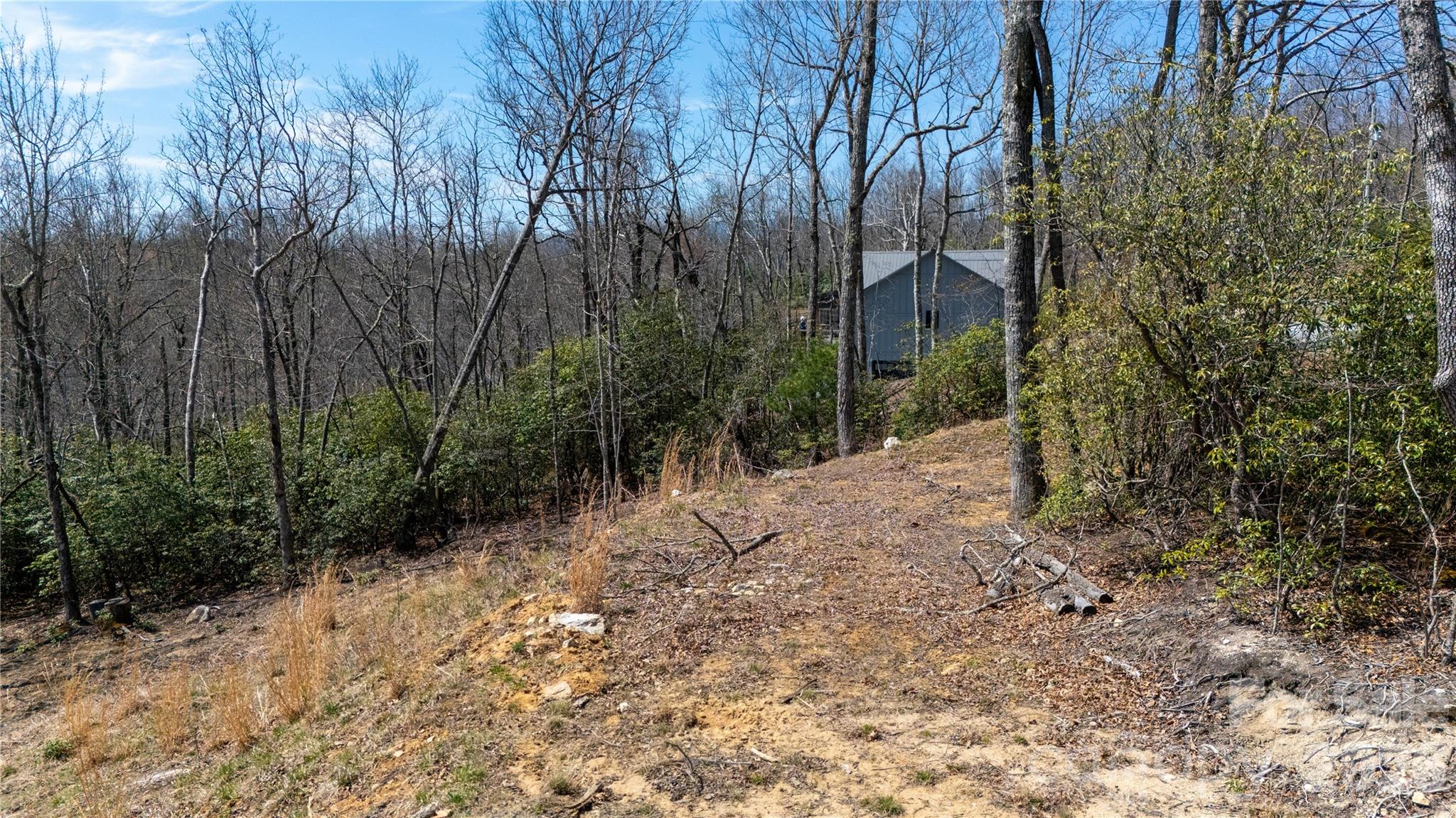 0 Walker Ridge Road Spruce Pine, NC 28777 - Photo 7 of 8