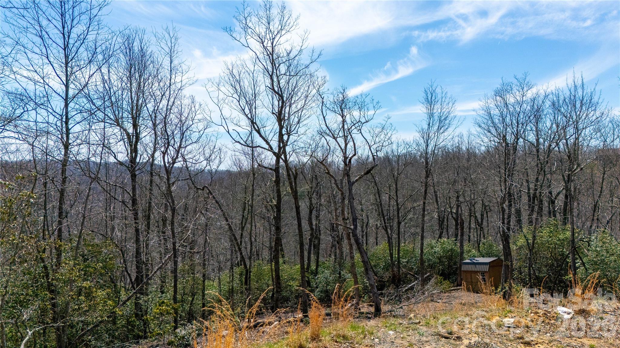 0 Walker Ridge Road Spruce Pine, NC 28777 - Photo 8 of 8