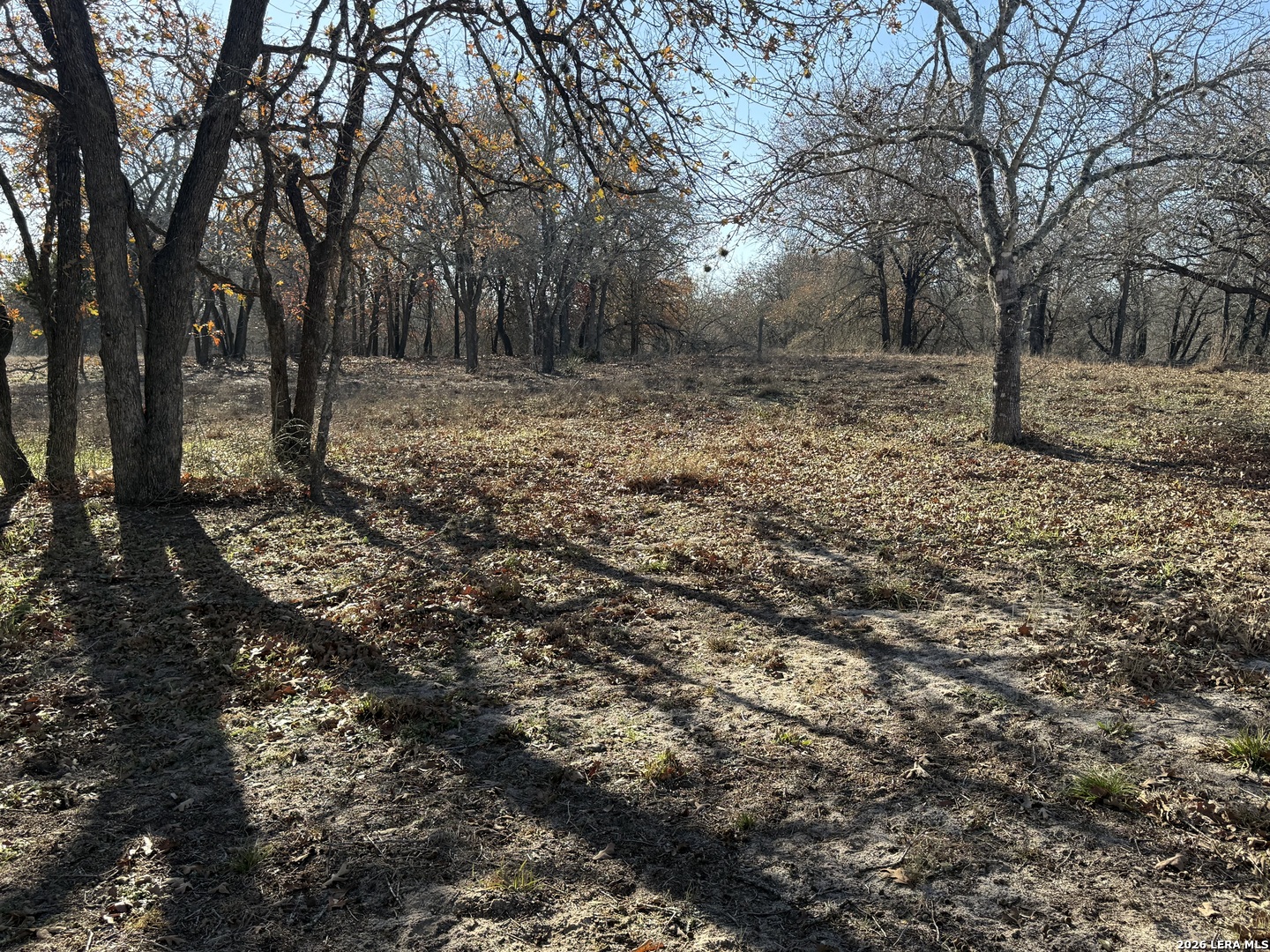 149 Oak Hill Road La Vernia, TX 78121 - Photo 8 of 23