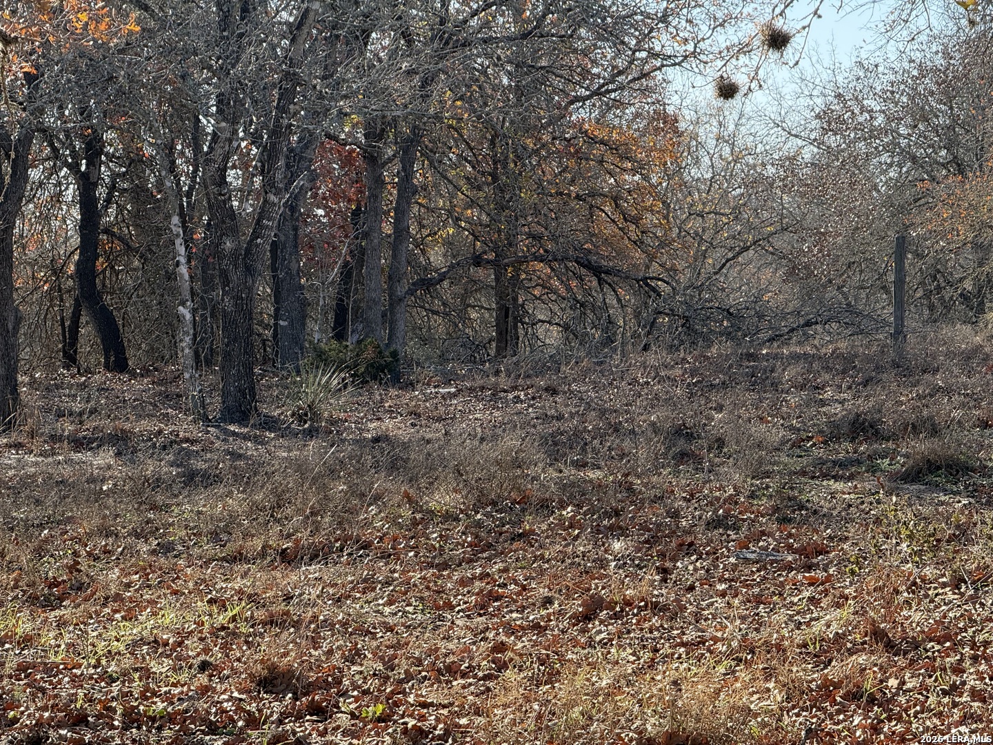 149 Oak Hill Road La Vernia, TX 78121 - Photo 9 of 23