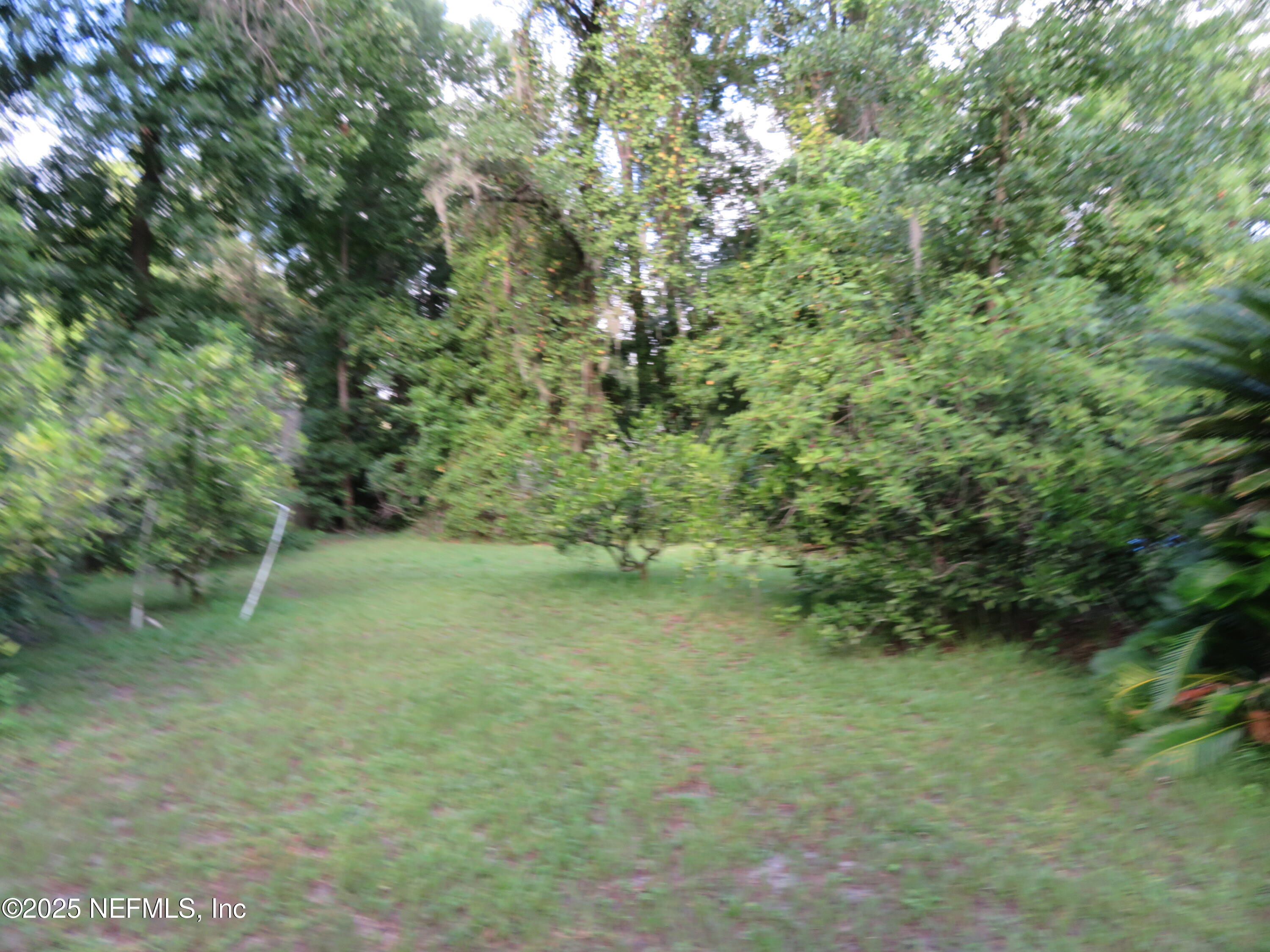 1836 New Berlin Road Jacksonville, FL 32218 - Photo 28 of 29 IMG_2421