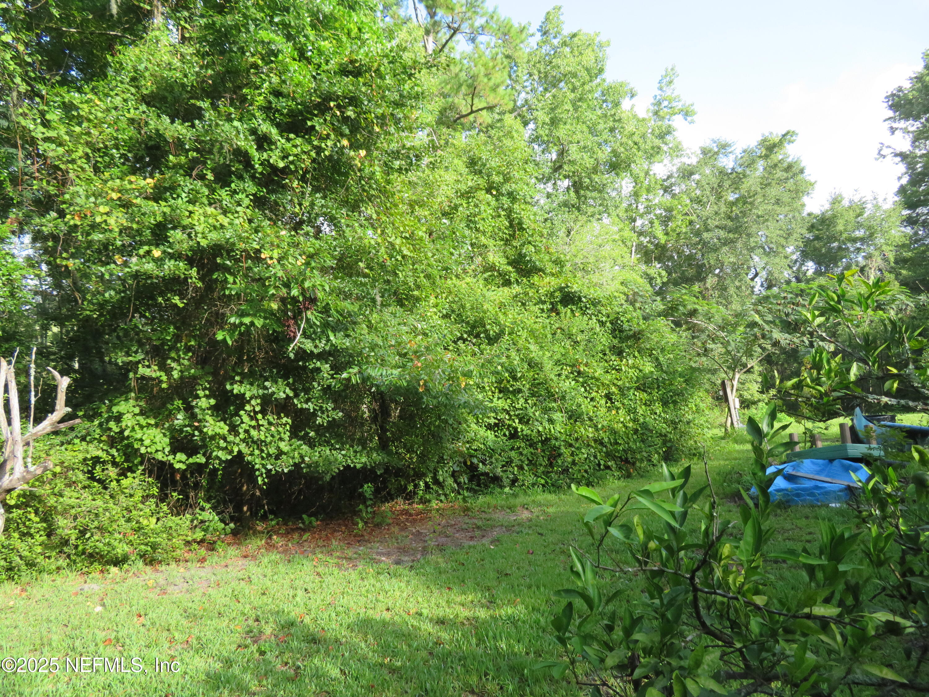 1836 New Berlin Road Jacksonville, FL 32218 - Photo 29 of 29 IMG_2424