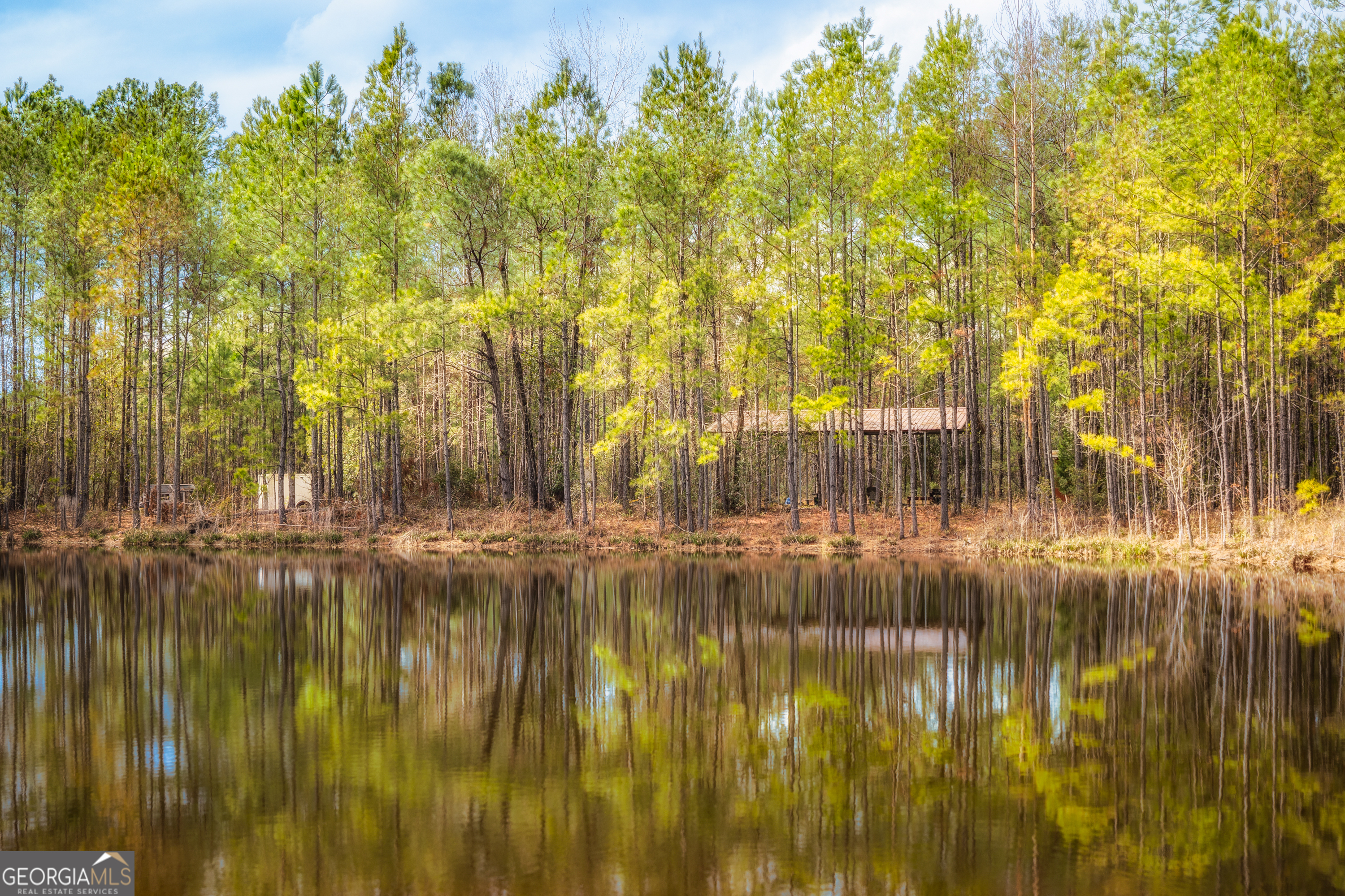 185 Browntown Road Kingsland, GA 31548 - Photo 1 of 1 Gallery Image 1