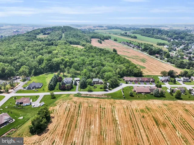 a view of a park with large trees
