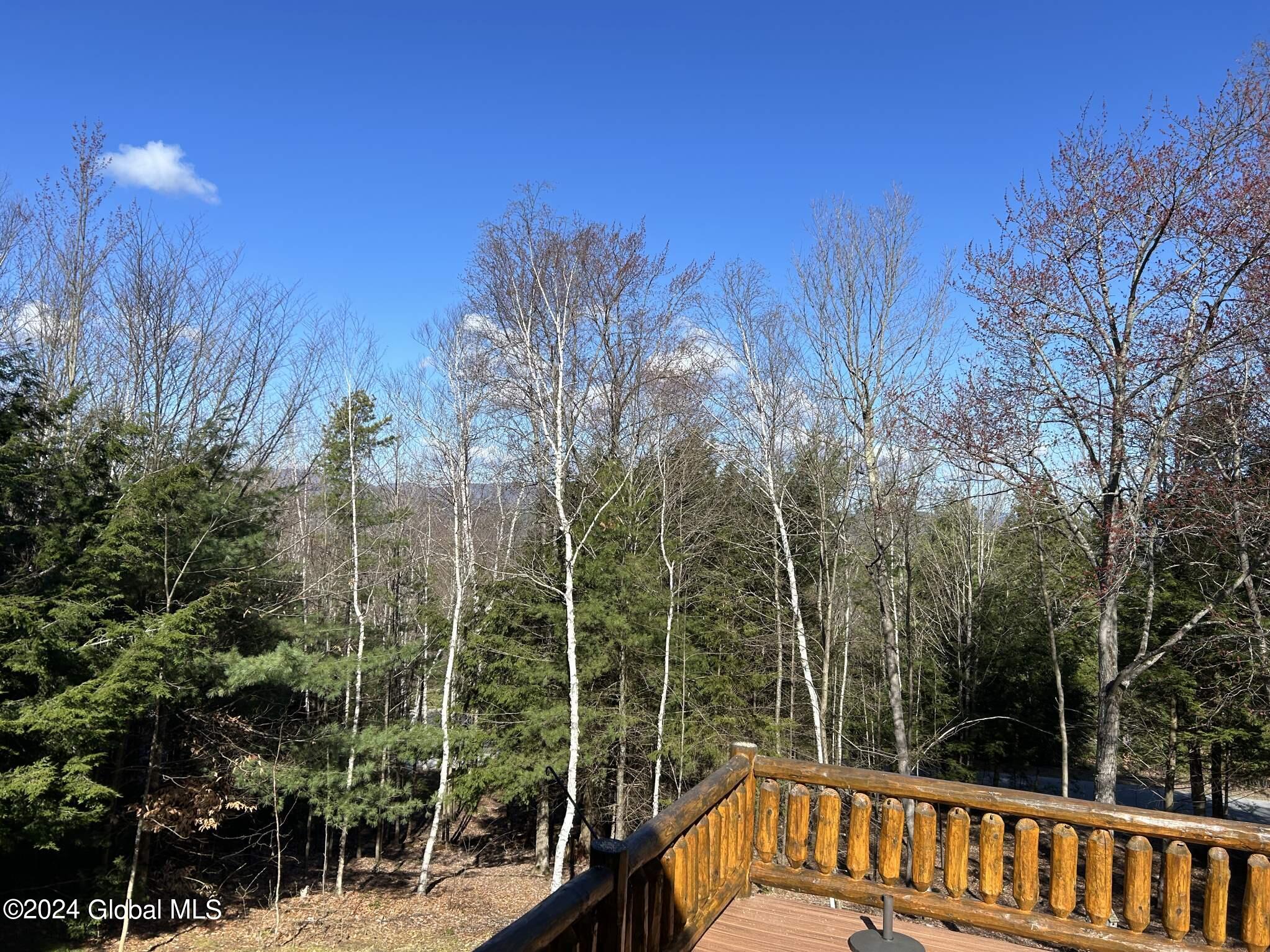 53 Moose Ridge Drive Lake George, NY 12845 - Photo 24 of 79 53 Moose Ridge (3)