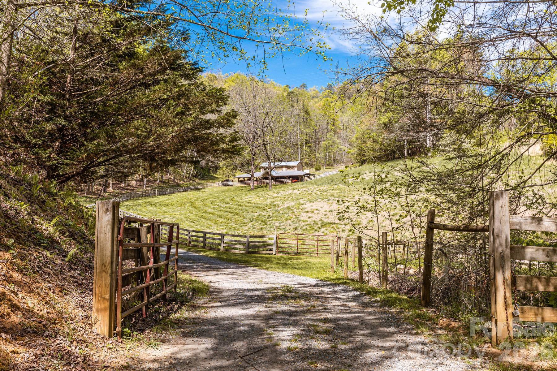 440 Huskey Road Bryson City, NC 28713 - Photo 41 of 42 a view of a yard with an trees
