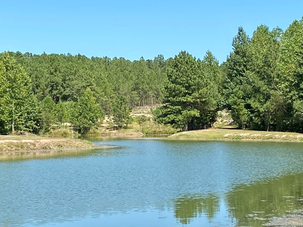 912 Rainbow Falls Road Graniteville, SC 29829 - Photo 21 of 31 Gallery Image 21