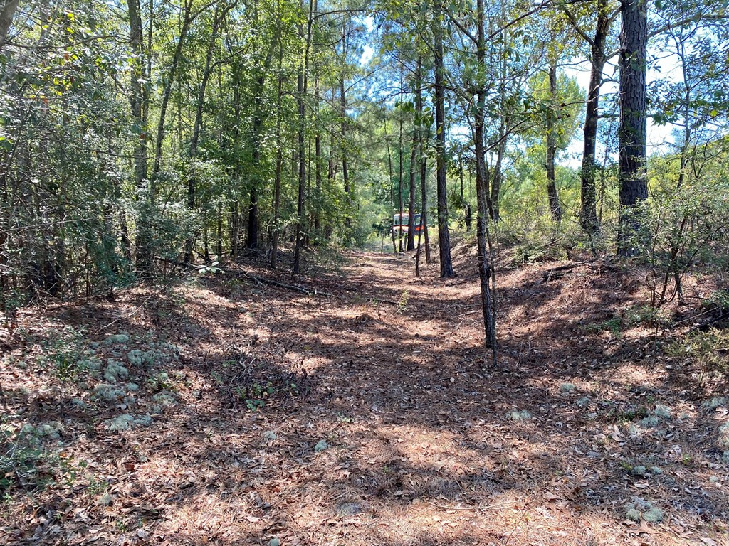 912 Rainbow Falls Road Graniteville, SC 29829 - Photo 23 of 31 Gallery Image 23
