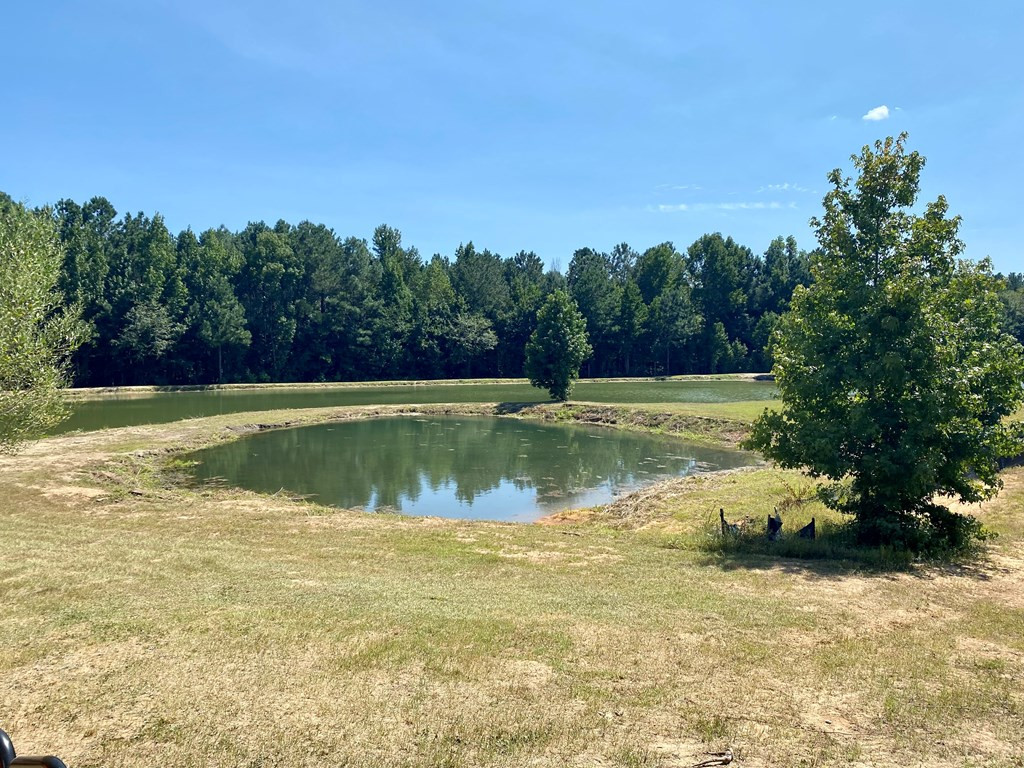 912 Rainbow Falls Road Graniteville, SC 29829 - Photo 24 of 31 Gallery Image 24