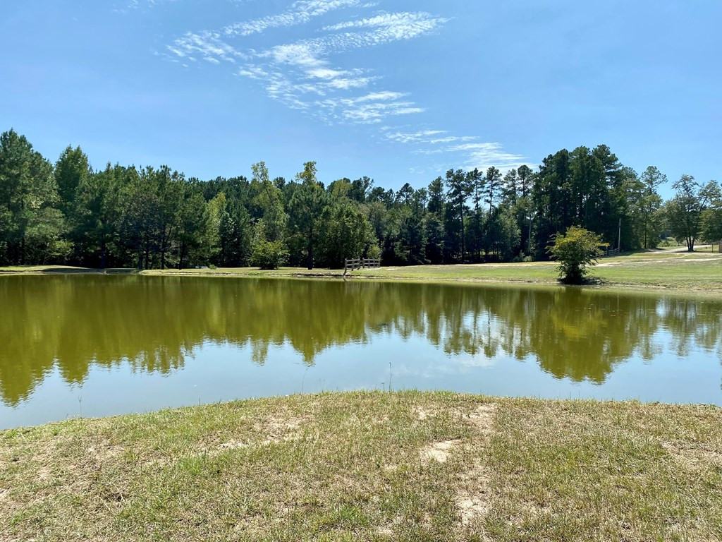 912 Rainbow Falls Road Graniteville, SC 29829 - Photo 29 of 31 Gallery Image 29