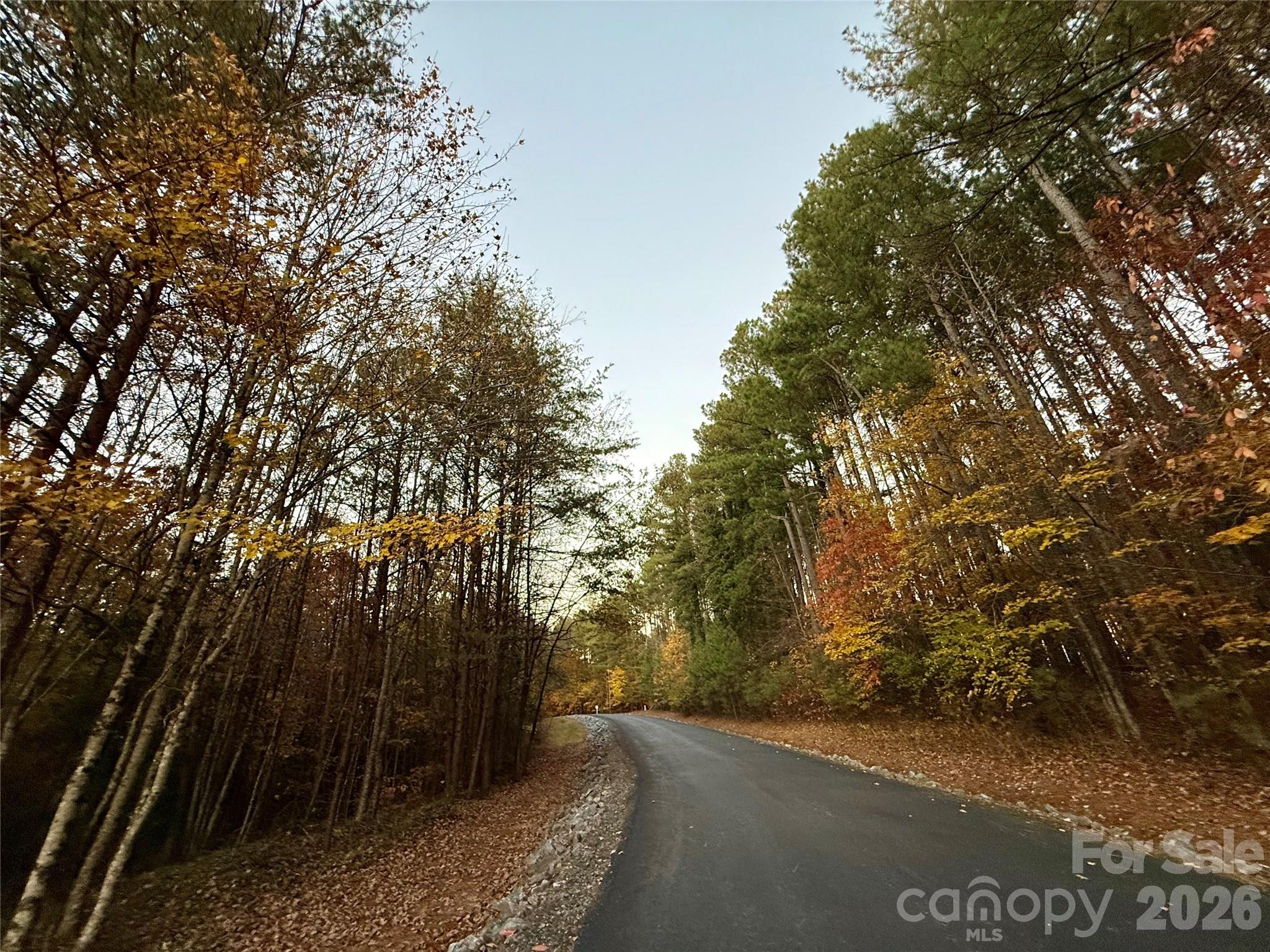 19 Meditation Rdg Dr Extension Nebo, NC 28761 - Photo 5 of 30 Gallery Image 5