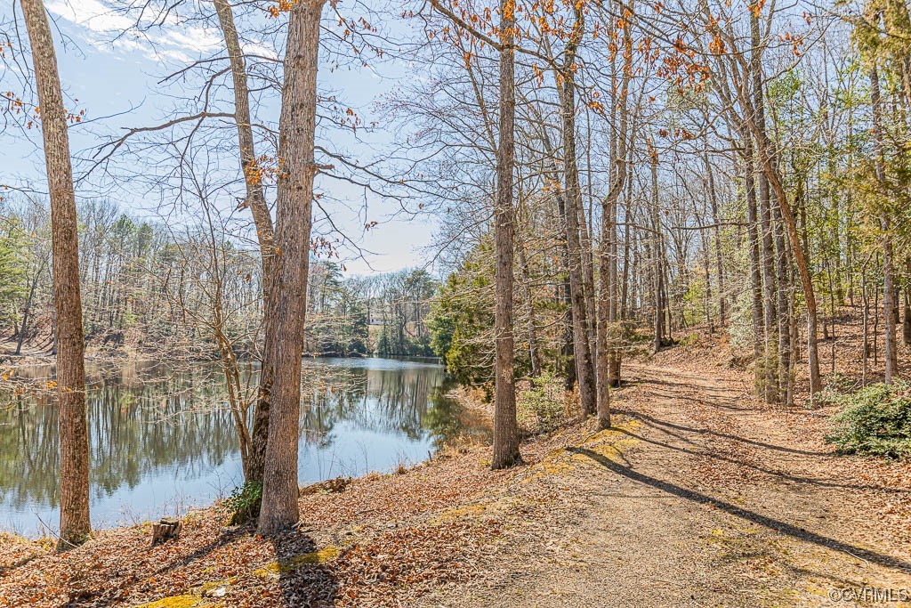 10268 Dabneys Mill Road Aylett, VA 23009 - Photo 36 of 49 Gallery Image 36