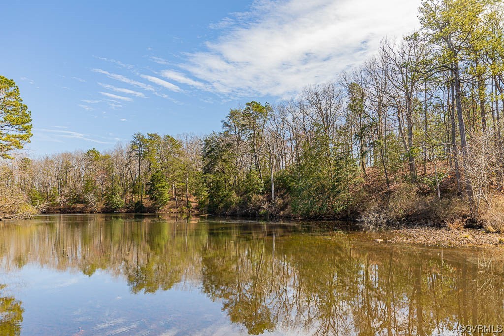 10268 Dabneys Mill Road Aylett, VA 23009 - Photo 37 of 49 Gallery Image 37