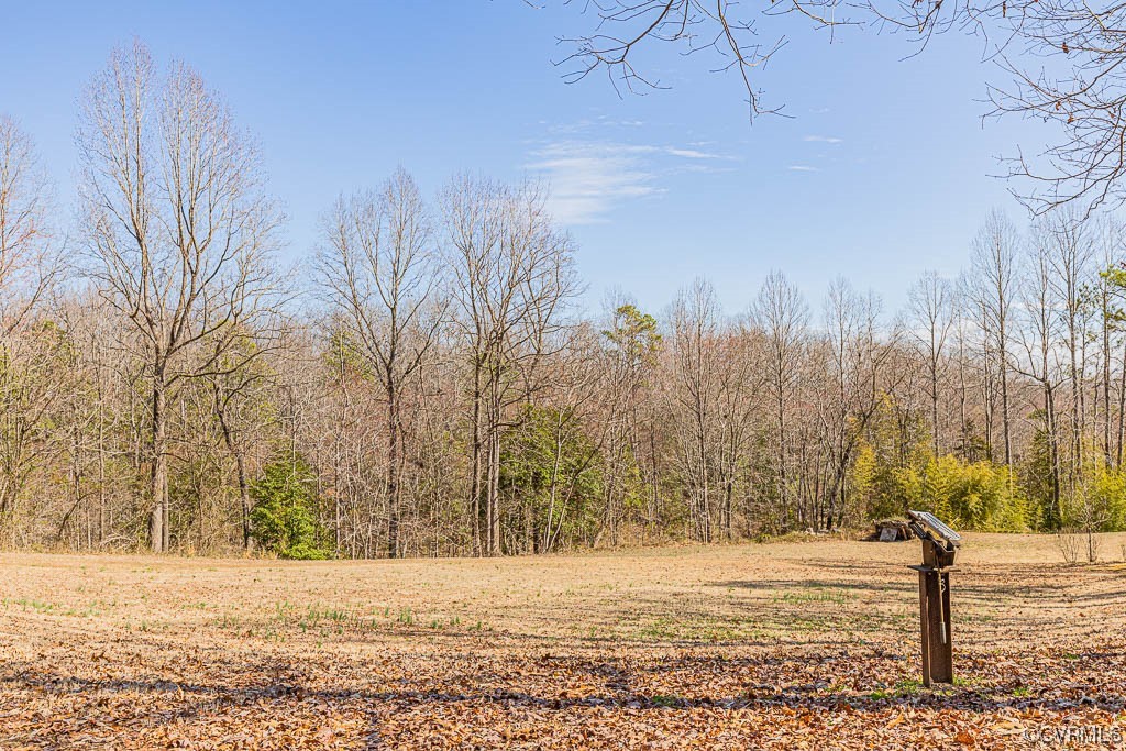 10268 Dabneys Mill Road Aylett, VA 23009 - Photo 40 of 49 Gallery Image 40