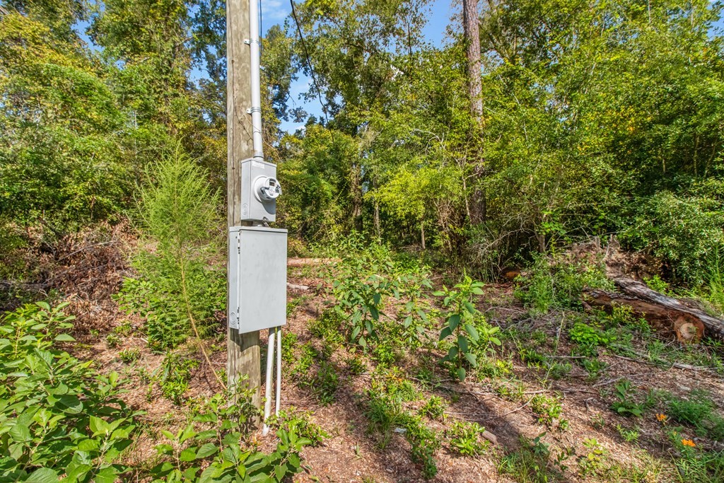 Undisclosed Address Gordon, AL 36343 - Photo 6 of 22