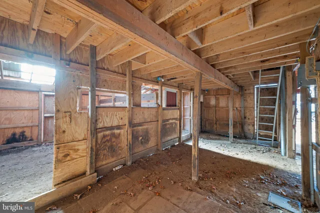 a view of a dry yard