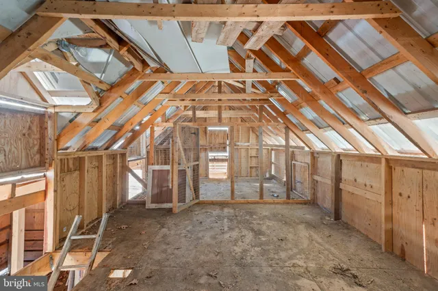 a view of a dry yard with trees in the background