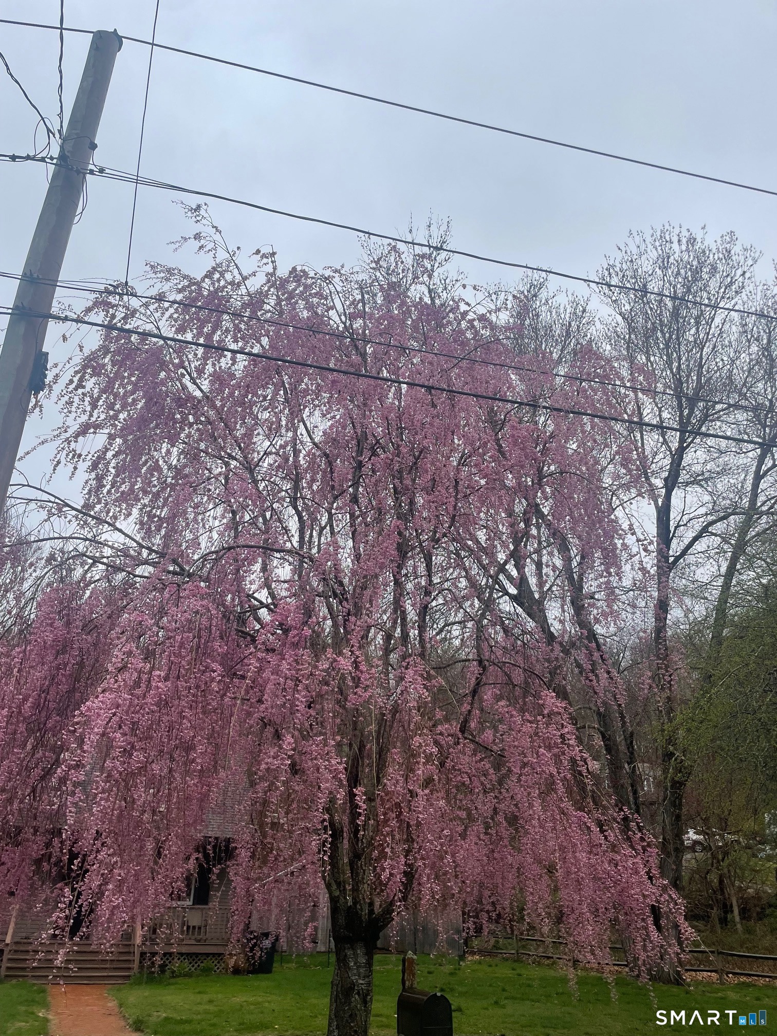 39 Long Pond Road South Ledyard, CT 06339 - Photo 28 of 29