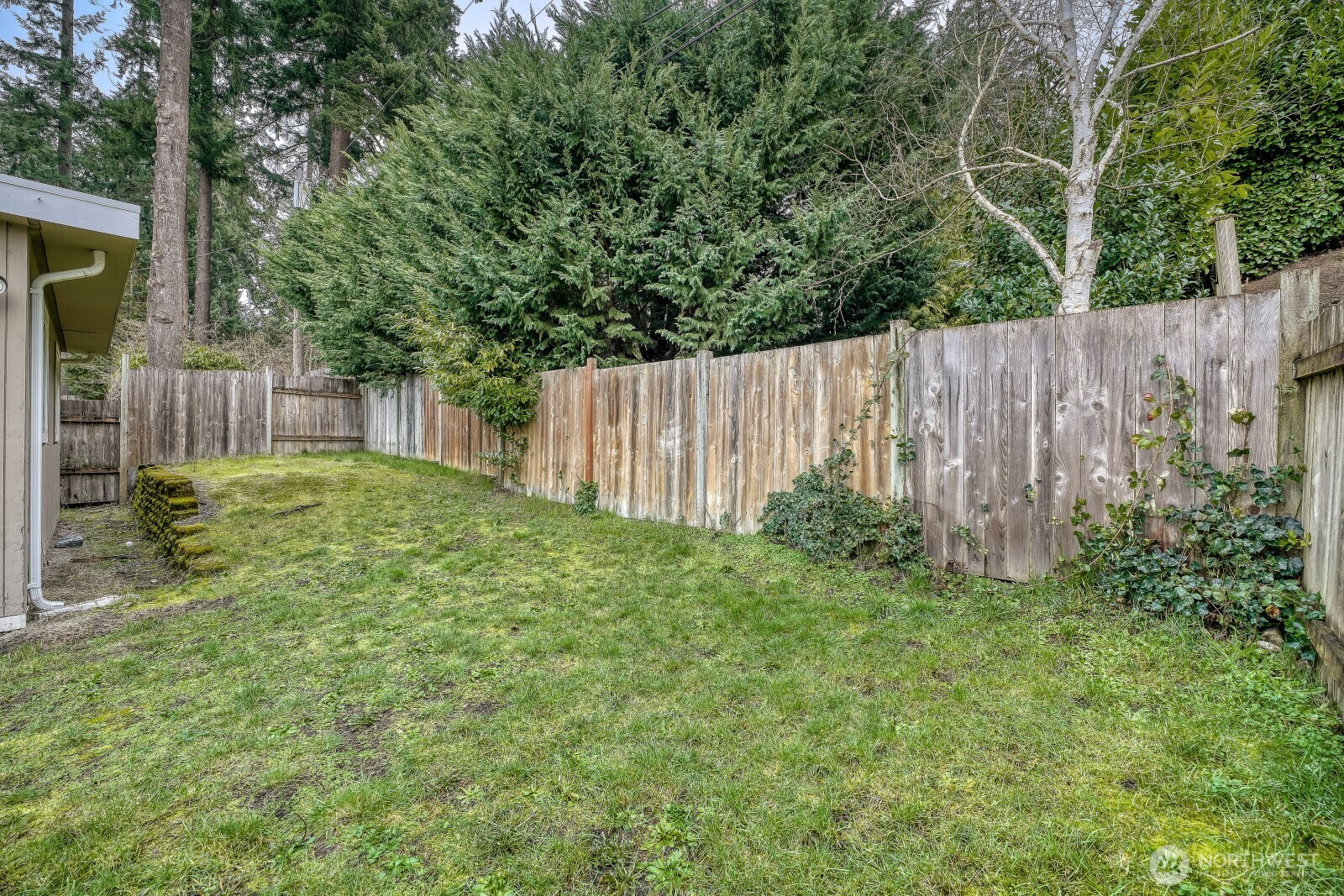 359 Del Monte Avenue Fircrest, WA 98466 - Photo 22 of 25