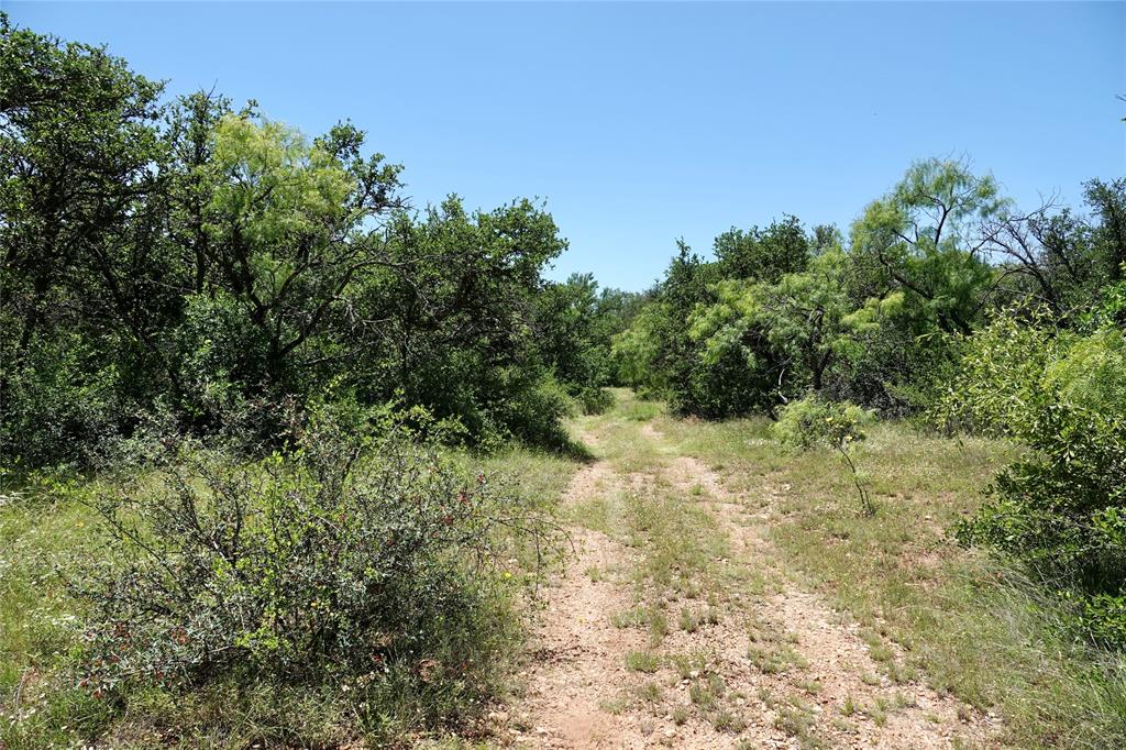 219 C R 550 Mullin, TX 76864 - Photo 13 of 37 a view of a yard with plants and a tree