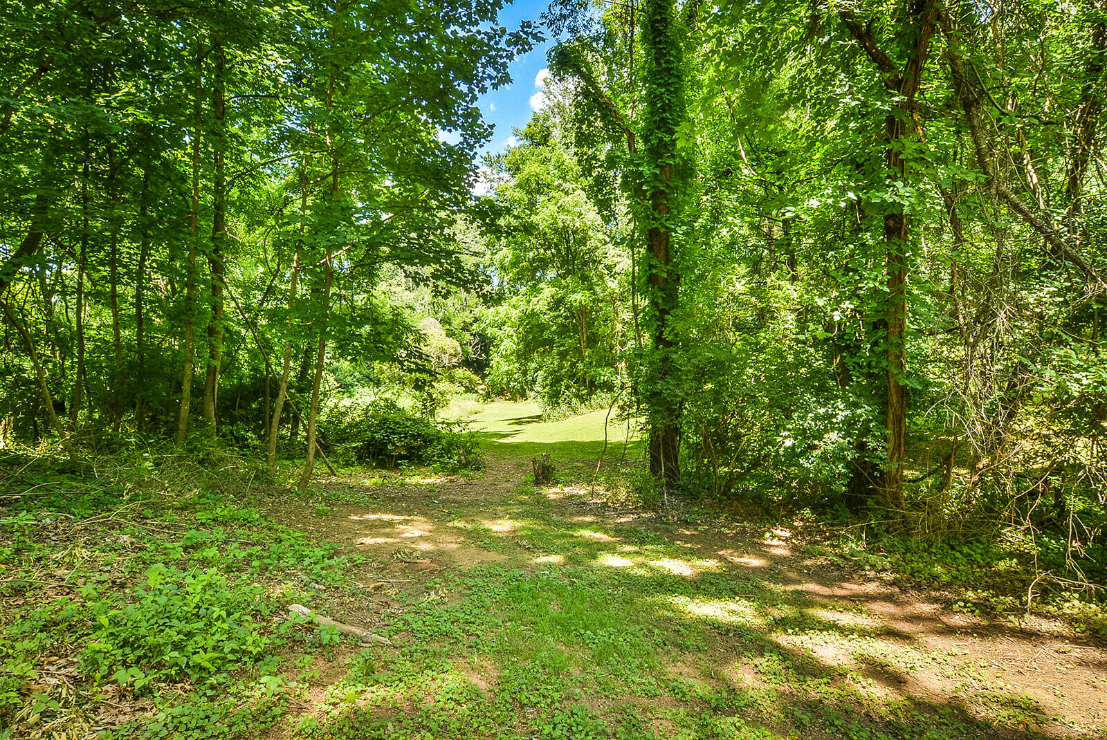 16153 Baytree Road Bristol, VA 24202 - Photo 6 of 33 TRB_2613