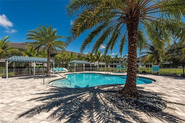 a view of a backyard with palm trees