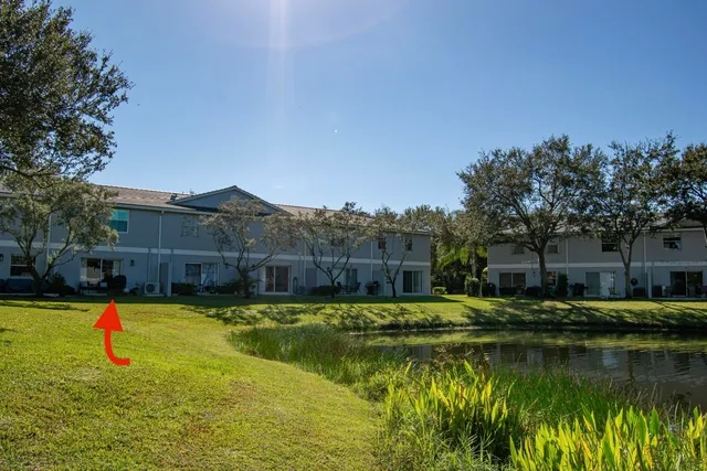 a view of a swimming pool with lawn chairs and plants
