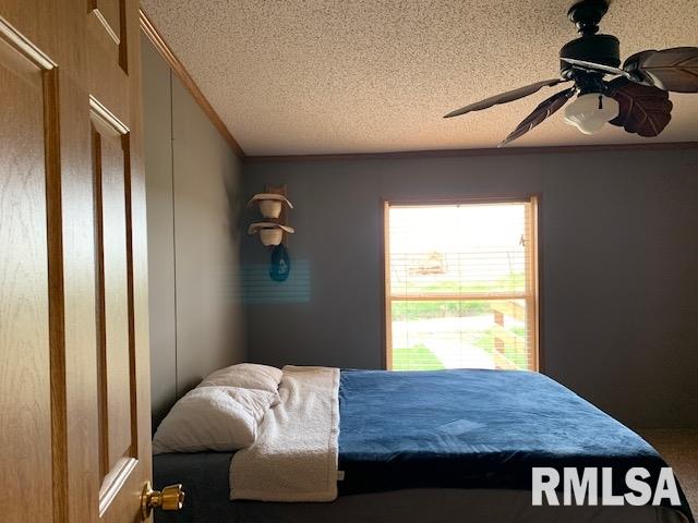 1456 Perbix Road Chapin, IL 62628 - Photo 34 of 37