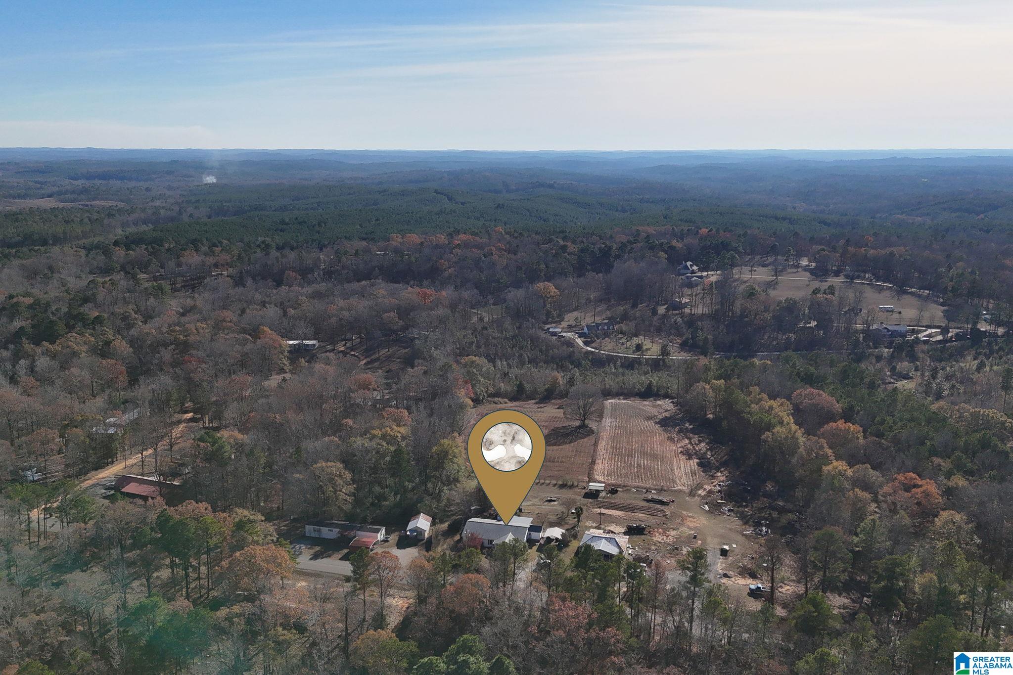 14365 Wire Road Cottondale, AL 35453 - Photo 43 of 46