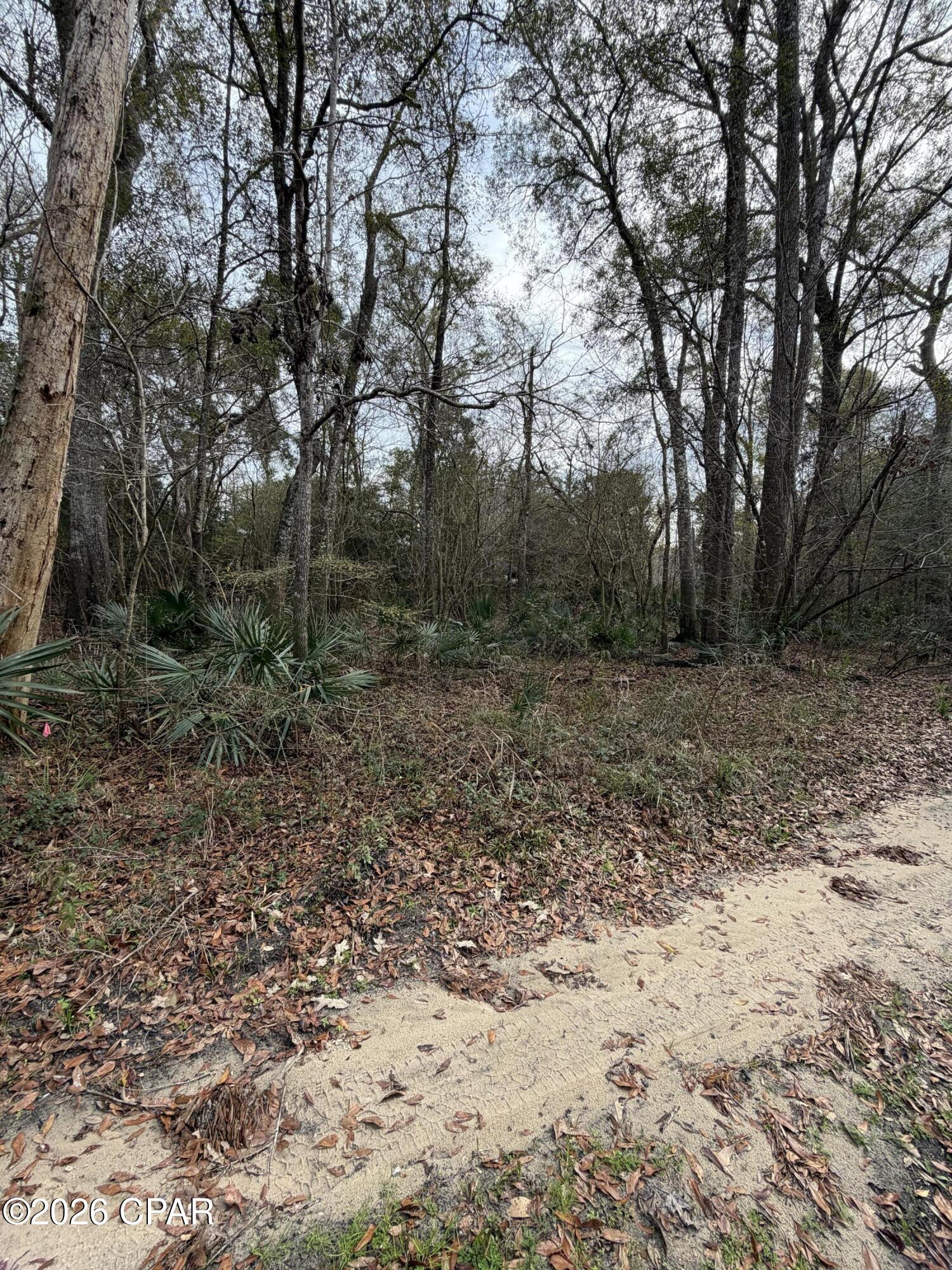 0 Big Cedar Road Ponce de Leon, FL 32455 - Photo 3 of 10