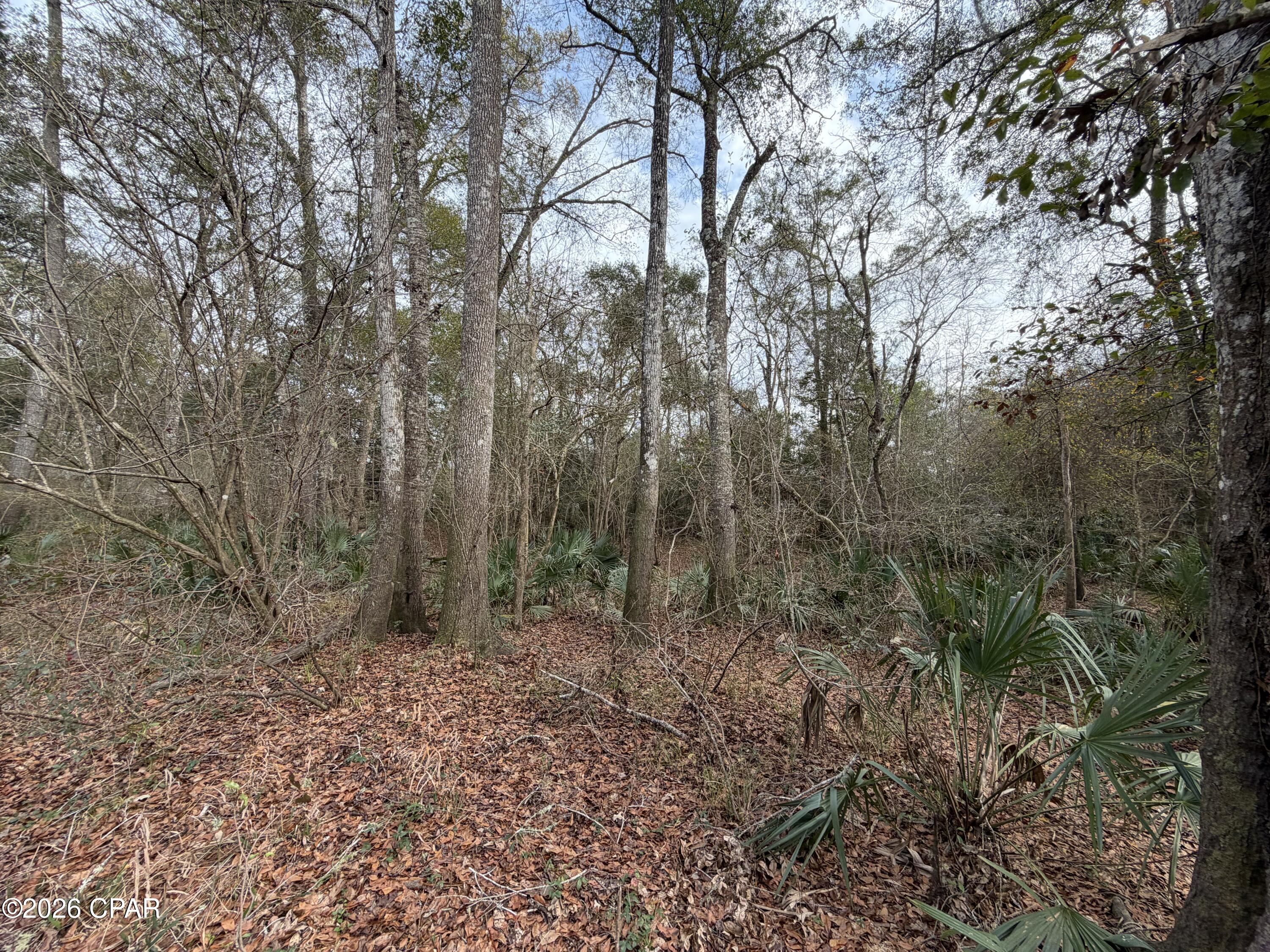 0 Big Cedar Road Ponce de Leon, FL 32455 - Photo 4 of 10
