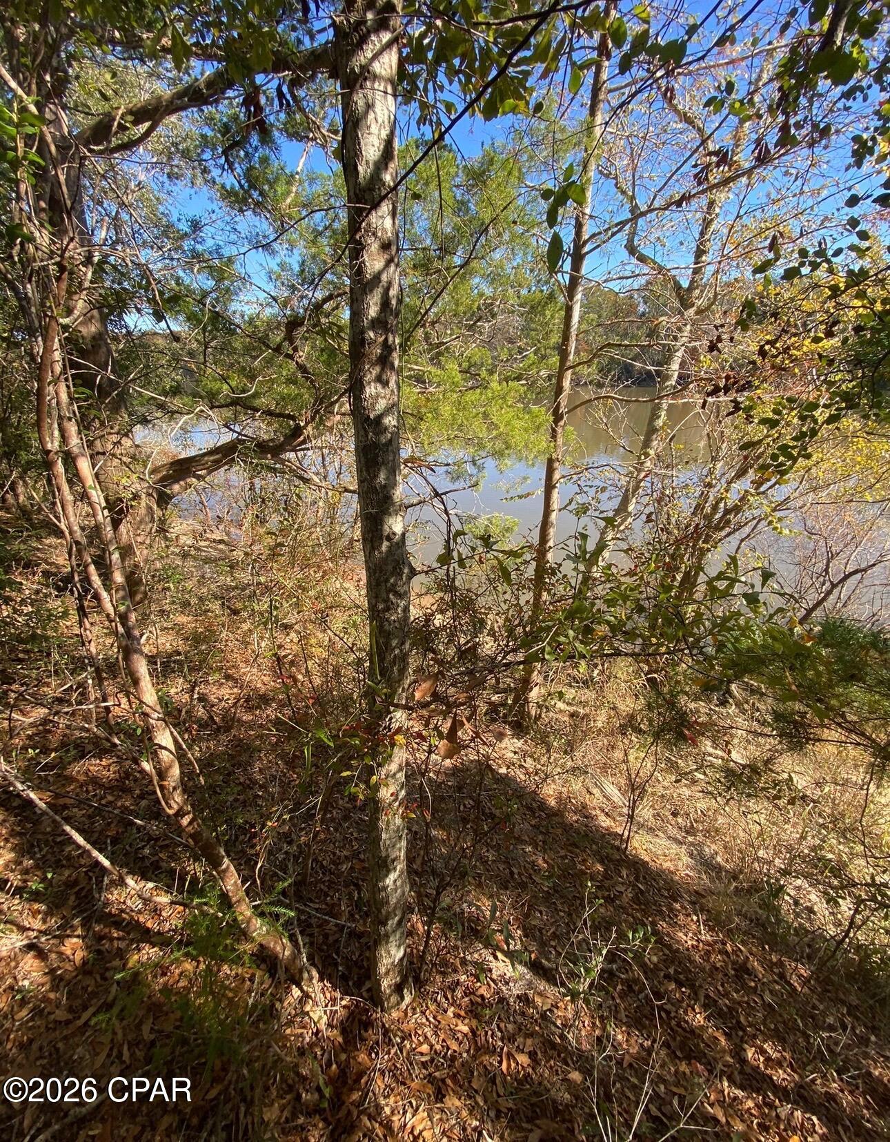 0 Big Cedar Road Ponce de Leon, FL 32455 - Photo 6 of 10