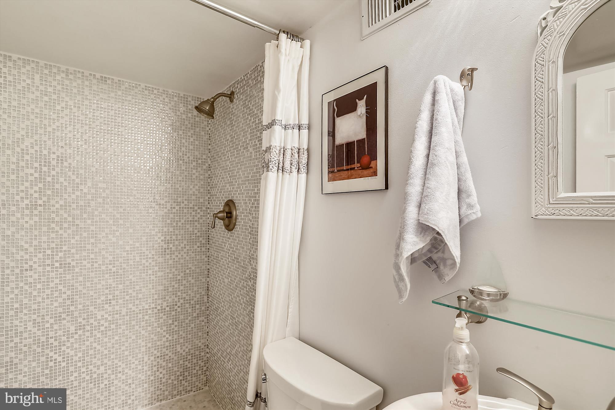 2942 South Columbus Street, Unit A2 Arlington, VA 22206 - Photo 18 of 26 Renovated LL bathroom