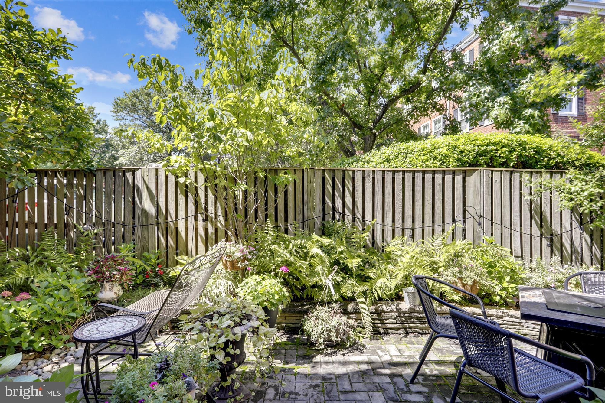 2942 South Columbus Street, Unit A2 Arlington, VA 22206 - Photo 22 of 26 W/ lush greenery