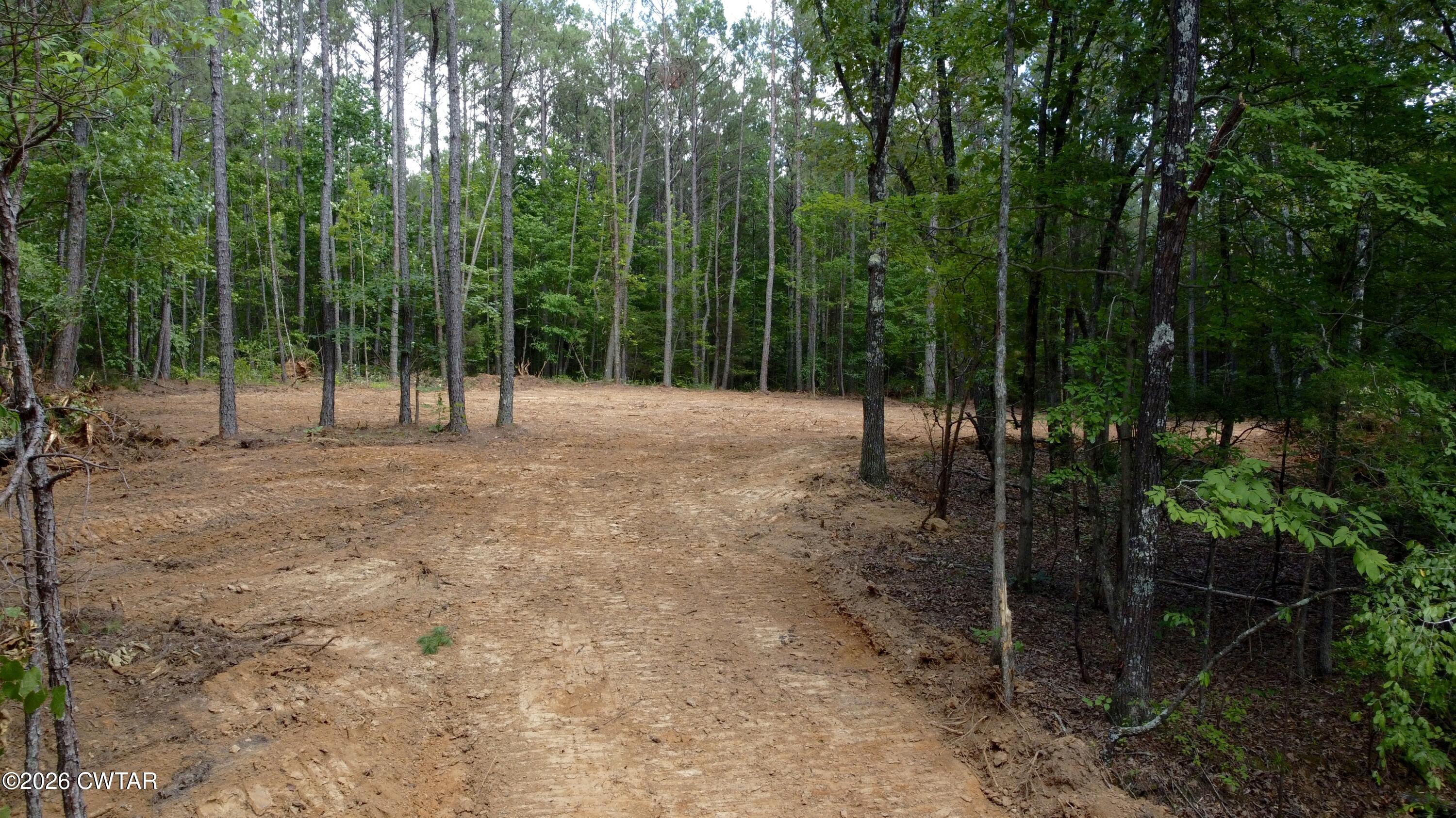 0 Old Lula Road Reagan, TN 38368 - Photo 9 of 18 dji_fly_20260621_150300_210_178207220521