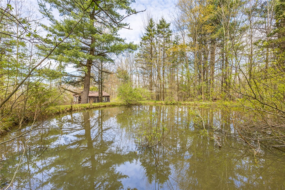 6057 Gulick Road Naples, NY 14512 - Photo 9 of 19