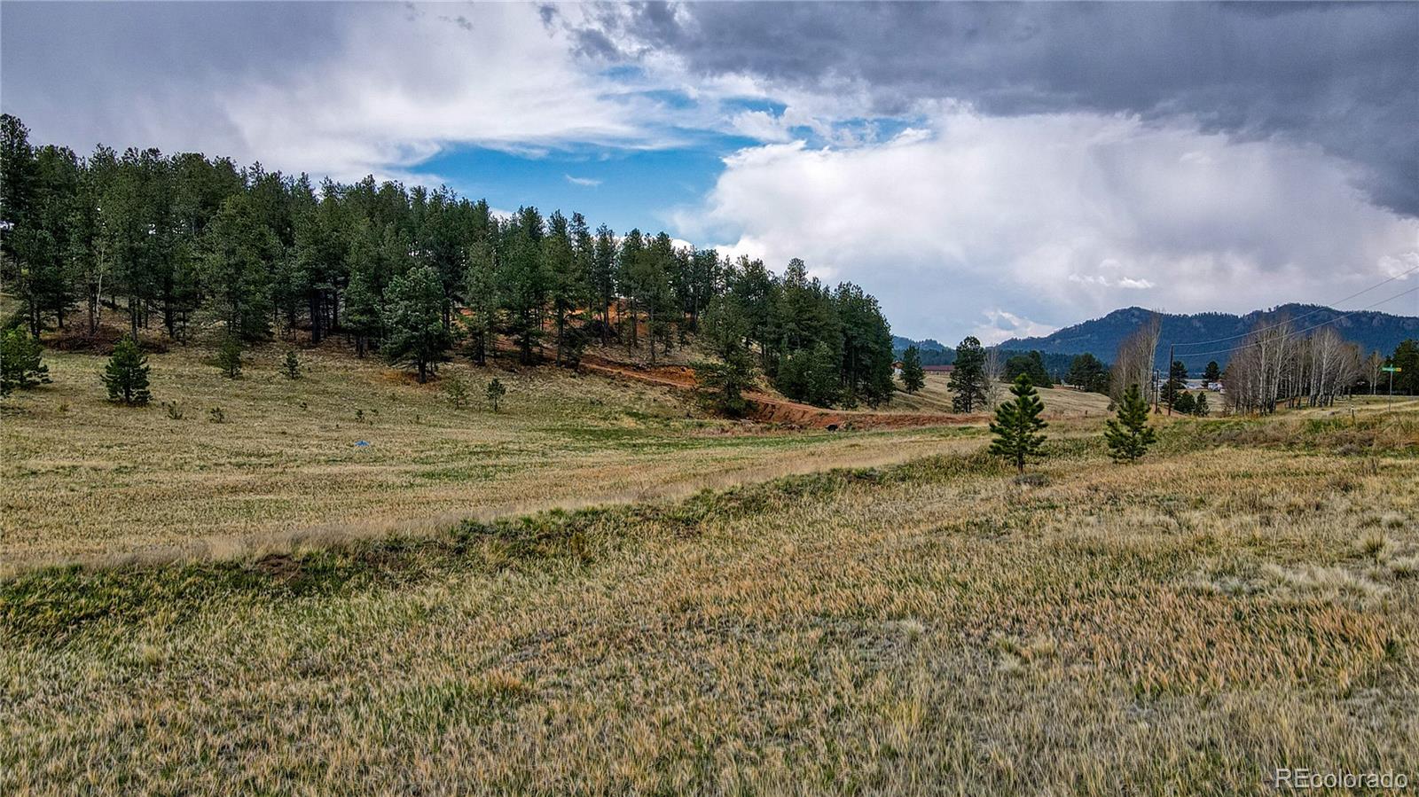 188 High Pasture Road Florissant, CO 80816 - Photo 1 of 18 a view of outdoor space with trees