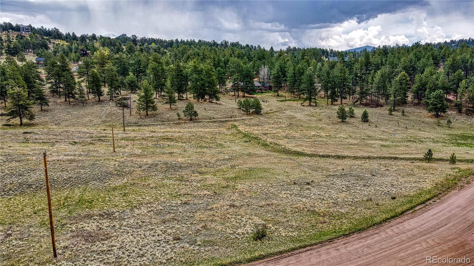 188 High Pasture Road Florissant, CO 80816 - Photo 17 of 18 a view of a park with large trees