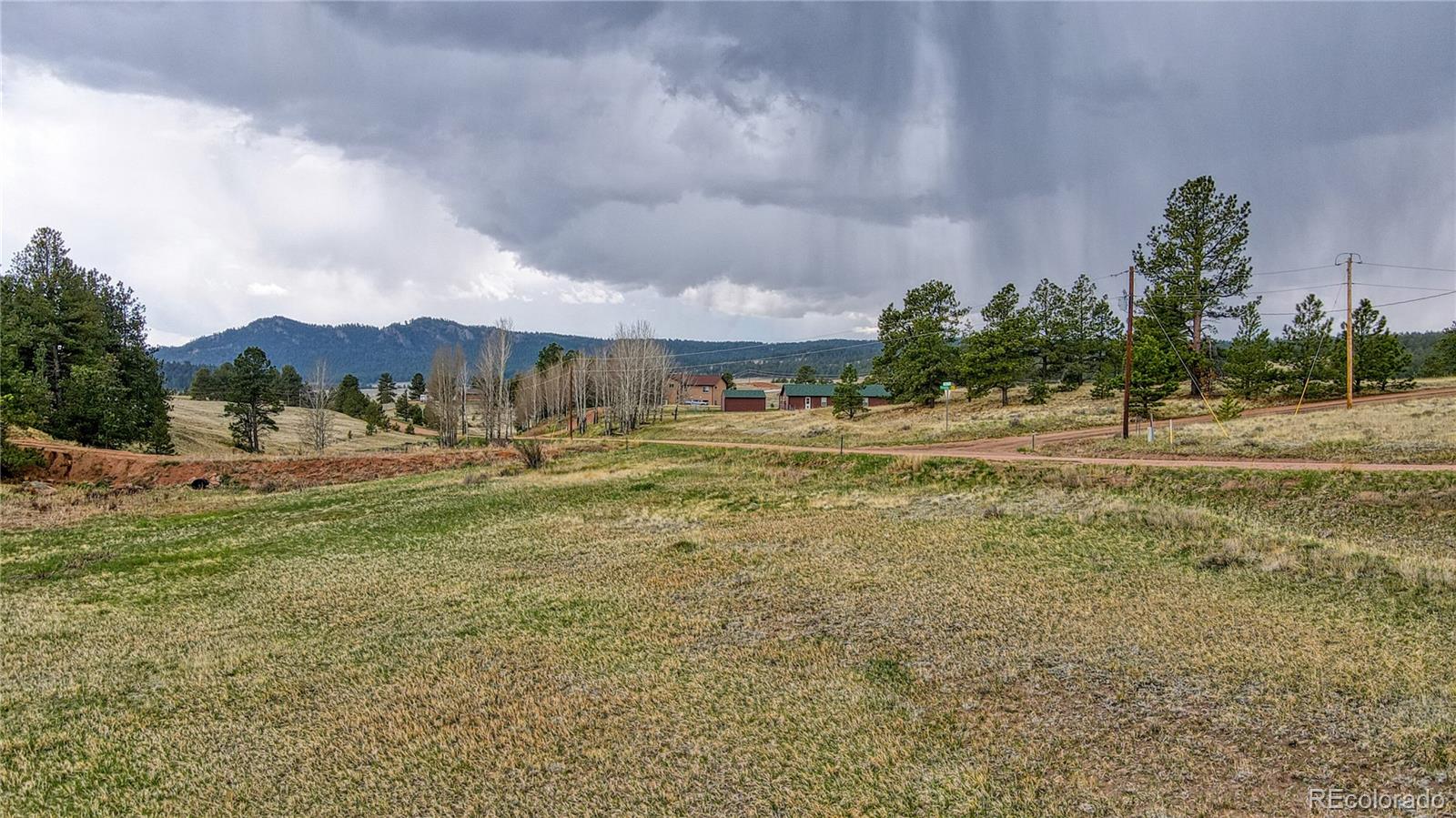 188 High Pasture Road Florissant, CO 80816 - Photo 3 of 18 a view of large trees with a yard