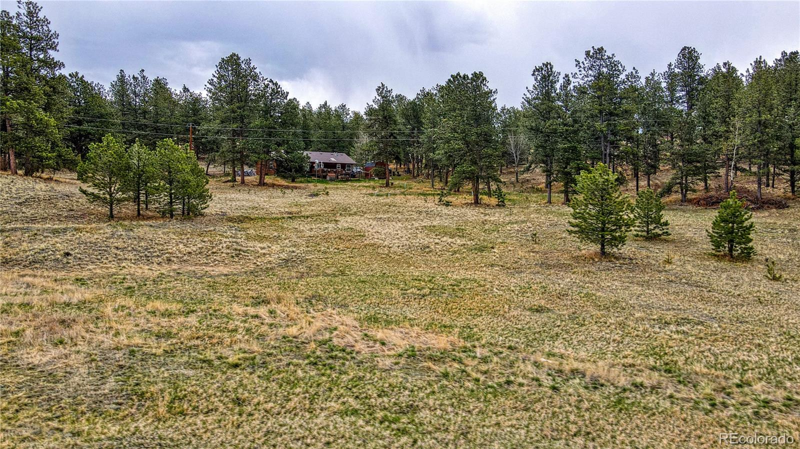 188 High Pasture Road Florissant, CO 80816 - Photo 4 of 18 a view of a yard with a tree