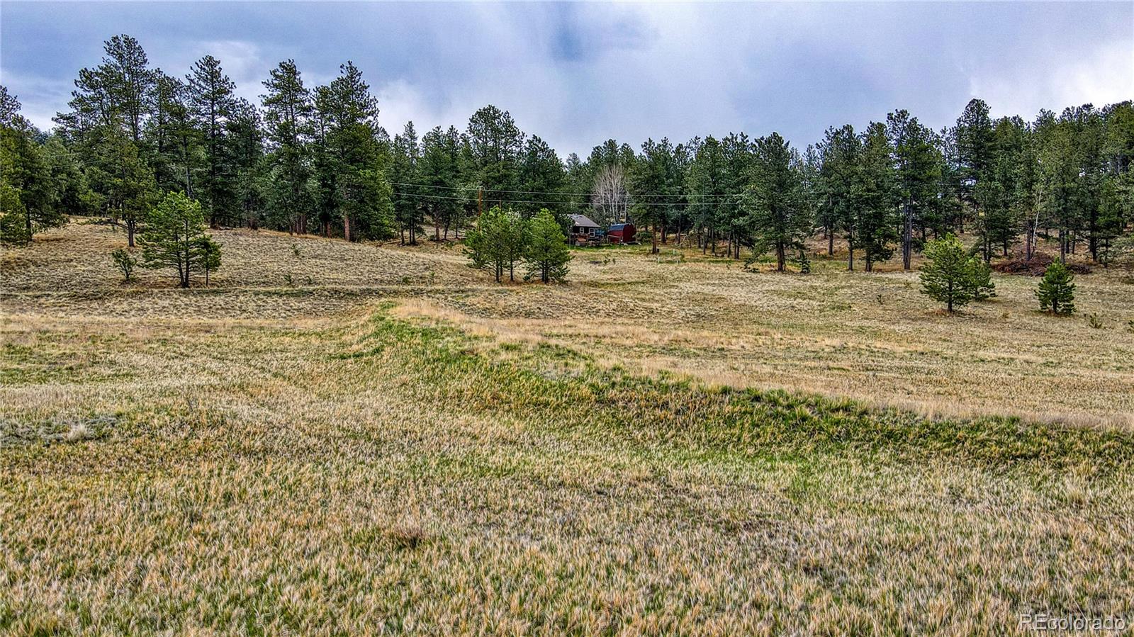 188 High Pasture Road Florissant, CO 80816 - Photo 8 of 18 a view of outdoor space with trees all around
