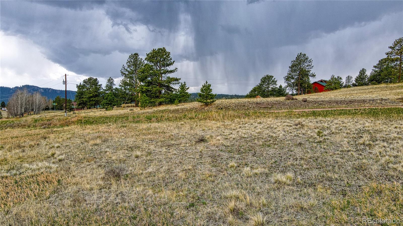 188 High Pasture Road Florissant, CO 80816 - Photo 9 of 18 a view of outdoor space and yard