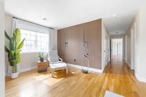 a living room with a couch and potted plant
