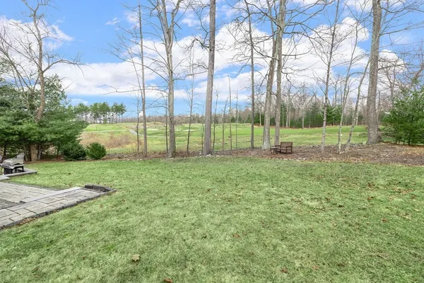 a view of a backyard with green space