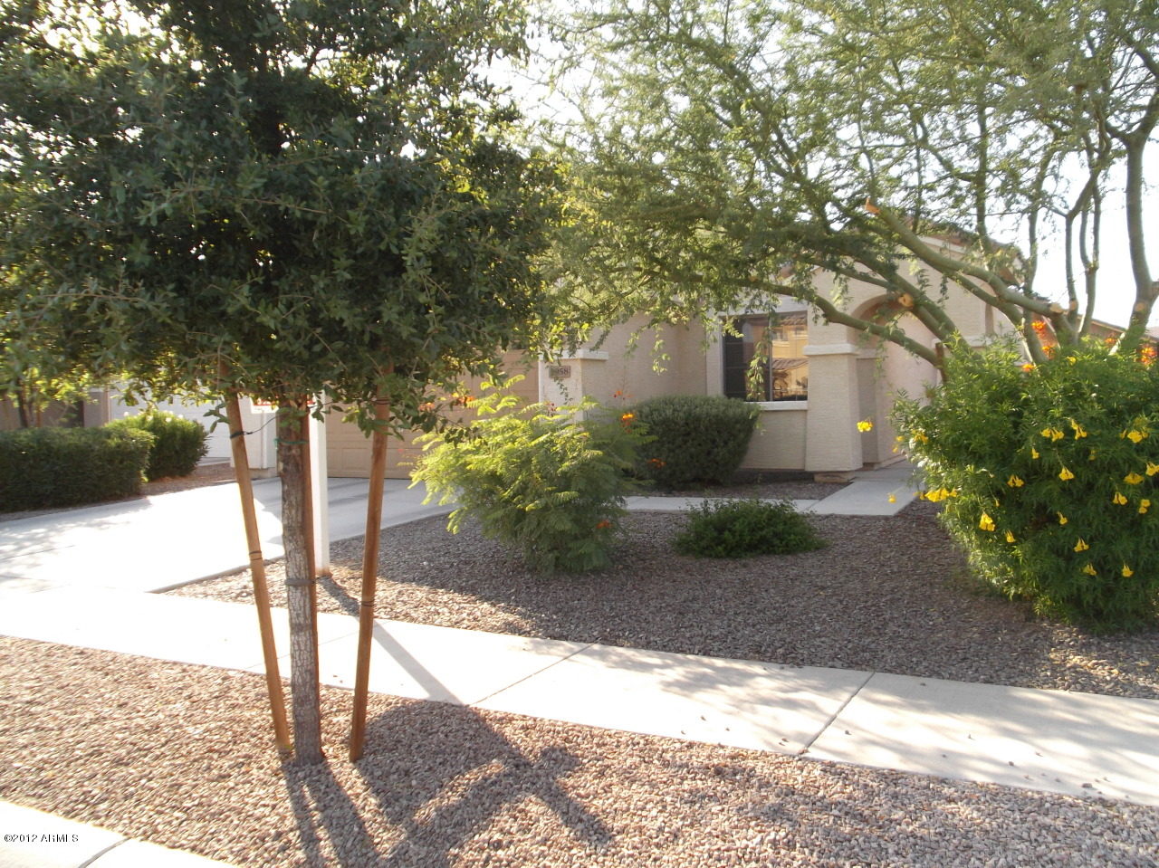 2958 East Blue Ridge Way Gilbert, AZ 85298 - Photo 11 of 13 LUSH FRONT YARD