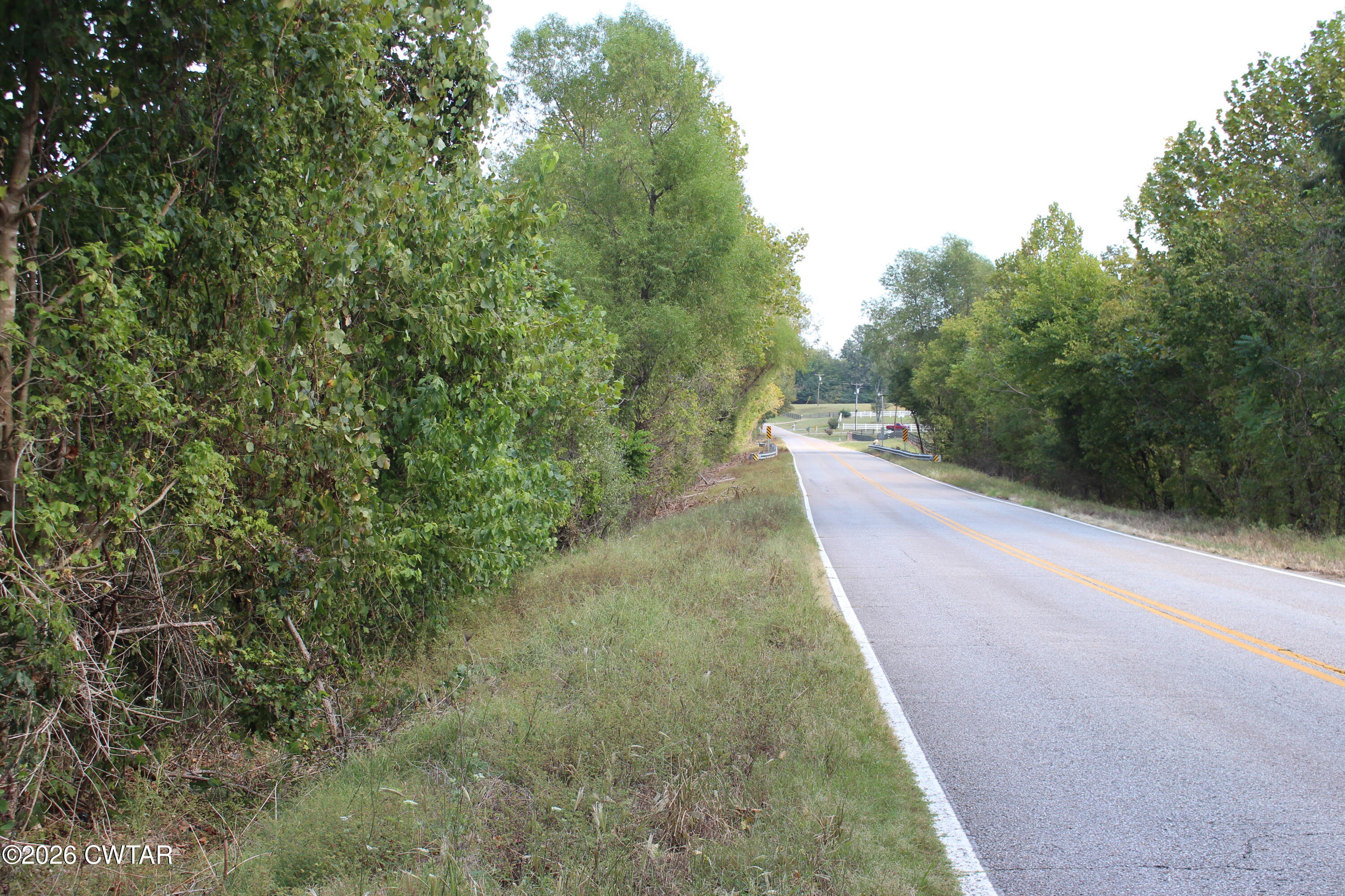 4 Cotton Grove Road Jackson, TN 38305 - Photo 3 of 11 IMG_0146