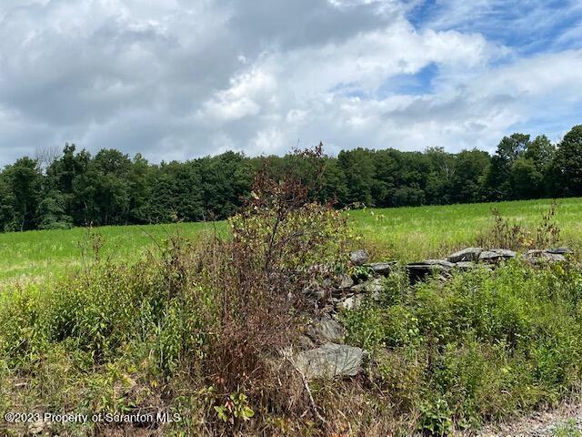 Lot 10 Reynolds Road Dalton, PA 18414 - Photo 2 of 7