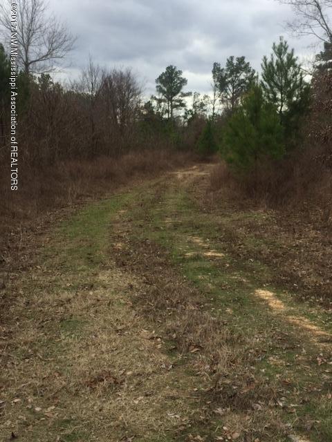 92.50 Murphyboro Road Scobey, MS 38953 - Photo 2 of 11 IMG_0257