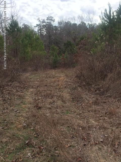 92.50 Murphyboro Road Scobey, MS 38953 - Photo 3 of 11 IMG_0259